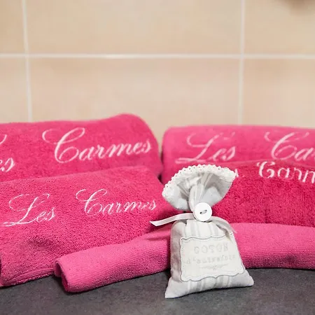 Etape De Charme - Les Carmes Tours